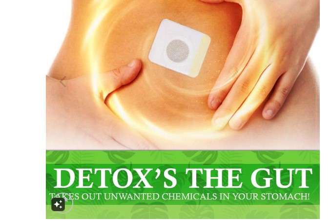 What is Neslemy Detox Patch?