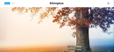 Slinnplus.com Review