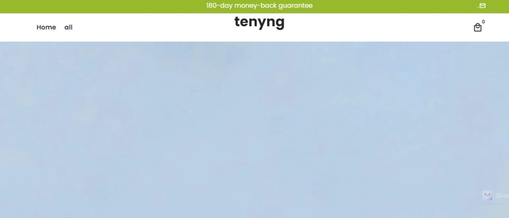 Tenyng.com Review: Does it Worth Your Money?