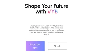 VYB Review